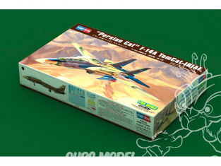 Hobby Boss maquette avion 81771 F-14A "chat persan" de l'armée de l'air iranienne 1/48