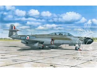 Special Hobby maquette avion 72360 A.W. Meteor NF MK.12 1/72