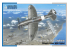 Special Hobby maquette avion 48206 Reggiane Re.2005 Sagittario Ultimate Italian WWII Fighter 1/48