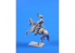 CMK figurine f35209 Cavalier Taliban et son cheval 1 figurines 1/35