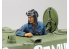 TAMIYA maquette militaire 35372 Char Lourd Ruse KV-1 1/35