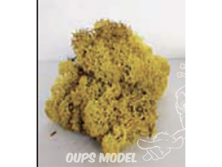 Fr Décor 121 Lichens Jaune paille 40g