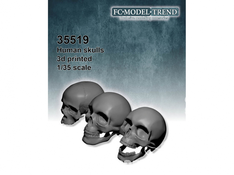 FC MODEL TREND accessoire résine 35519 Crânes humains 1/35