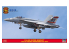 Hasegawa maquette avion 02417 F/A-18E Super Hornet &quot;VFA-87 Golden Warriors CAG 2019&quot; 1/72