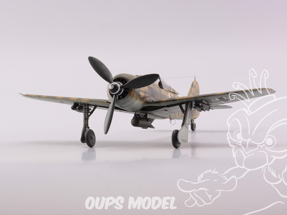 Eduard Maquette Avion 70119 Focke Wulf Fw 190f 8 Profipack Edition