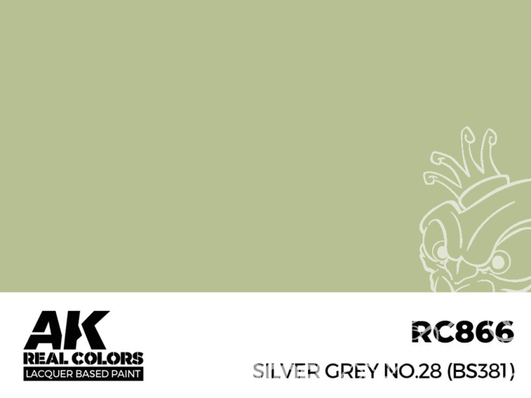 Ak interactive Real Colors RC866 Gris argent - Silver Grey No.28 BS381 17ml