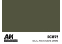 Ak interactive Real Colors RC875 Vert Olive - S.C.C. No.15 Olive Drab 17ml