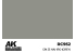 Ak interactive Real Colors RC952 Gris IJN J3 HAI-IRO 17ml