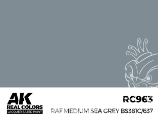 Ak interactive Real Colors RC963 Gris mer moyen - RAF Medium Sea Grey BS381C/637 17ml