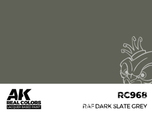 Ak interactive Real Colors RC968 Gris ardoise foncé - RAF Dark Slate Grey 17ml