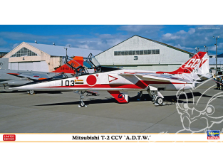 Hasegawa maquette avion 07530 Mitsubishi T-2 CCV "A.D.T.W." 1/48