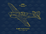 EDUARD maquette avion R0023 P-40E Dual combo Royal Class 1/48