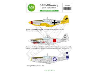 ASK Art Scale Kit Décalcomanies D48061 P-51B/C Mustang Partie 3 - Avions capturés 1/48