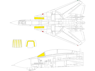 Eduard Express Mask EX1103 F-14D Great Wall Hobby 1/48